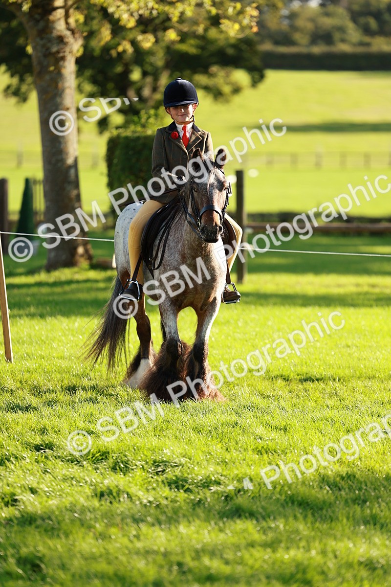 SBM_28725 - S7 - Novice & Newcomer Ridden Pony