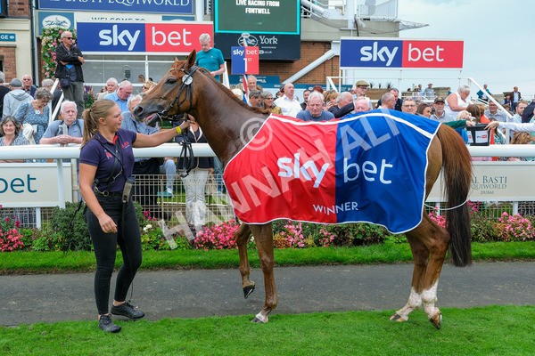 080925-Race 2-Alzahir-8027 - Race 2 3.00pm Sky Bet Super Sub Sprint Handicap