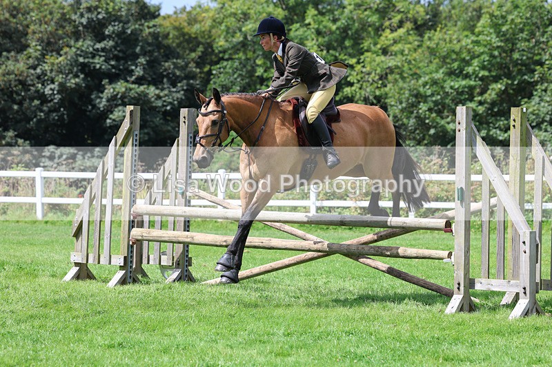 3E7A8883 - Class 6: Open Working Horse