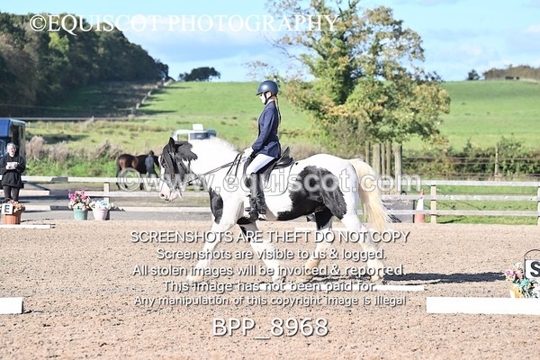BPP_8968 - SHORT ARENA