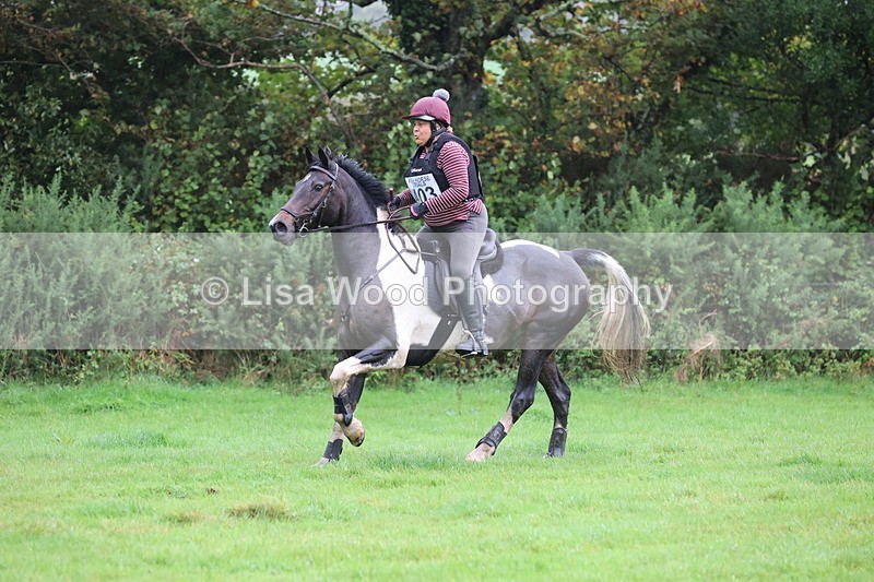 JPP_5406 - Class 4: 80cm: Crossed Logs