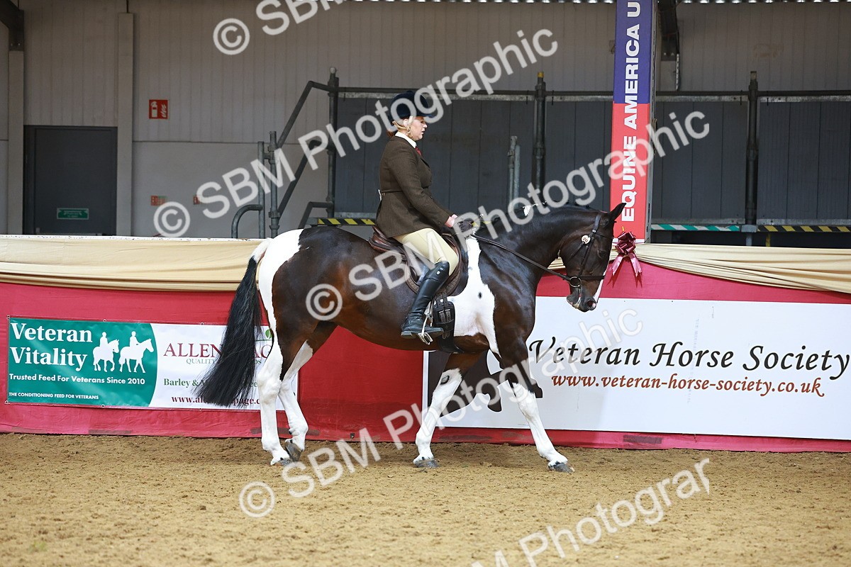 SBM_09585 - Class 102 - HOYS Veteran Qualifier - Ridden Veteran