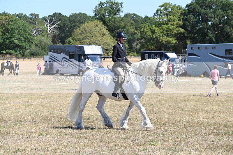 WJ6_8251 - Class 37a Best Loan Pony Ridden
