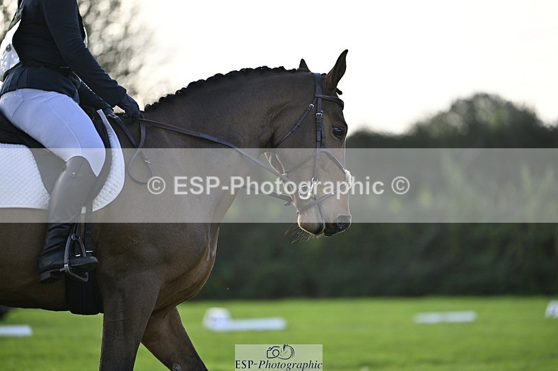 241025-101851-05740 - 359- Harriet Birkby- CBH CLOVER LINING