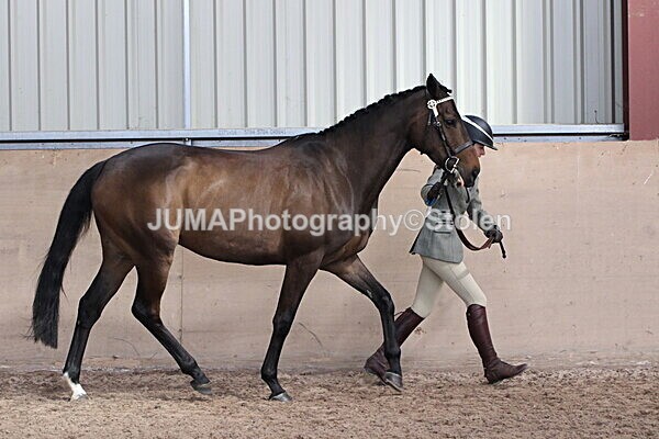 SIAL9786 - Indoor Classes