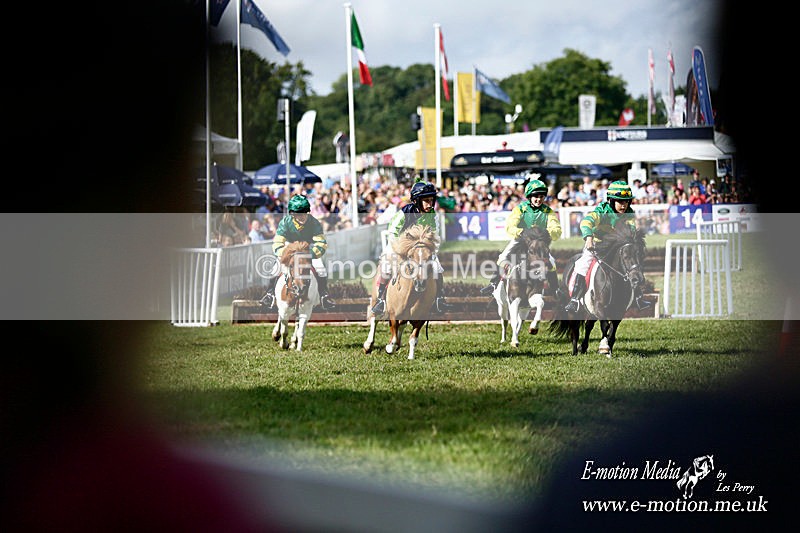 _LES3965a - Equestrian