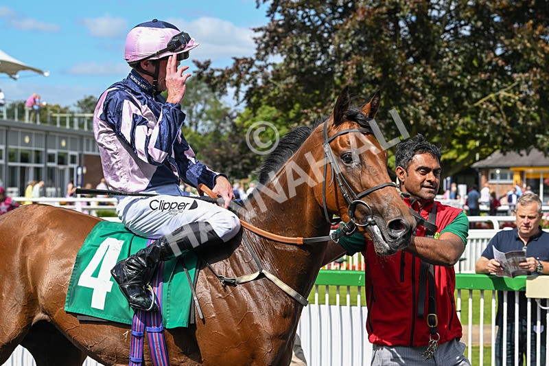 030824-Race 2-Barefoot Warrior-1573 - Race 2