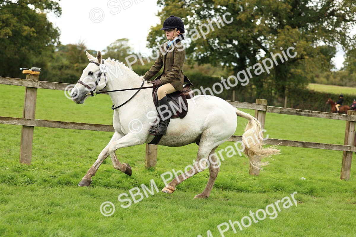 SBM_45361 - S33 - Working Hunter Pony