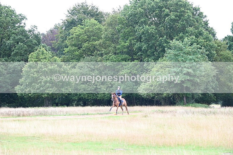 DSC_3804 - Time at Statue 13:51 to 14:55