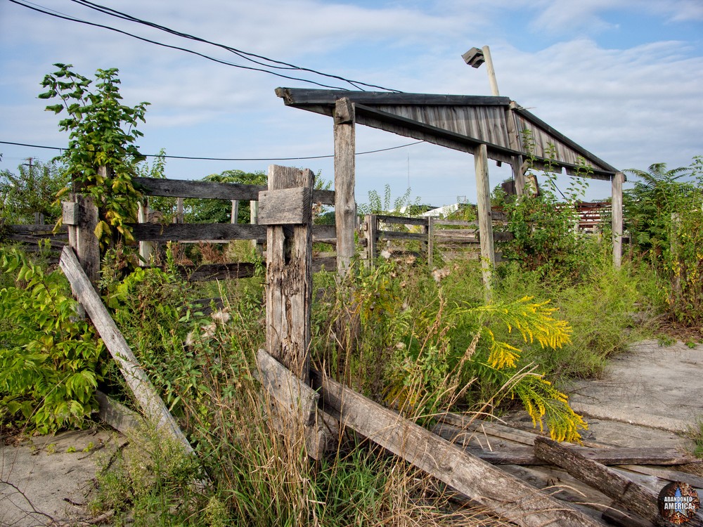 The Lancaster Stockyards | A Maze of Weeds - Lancaster Stockyard
