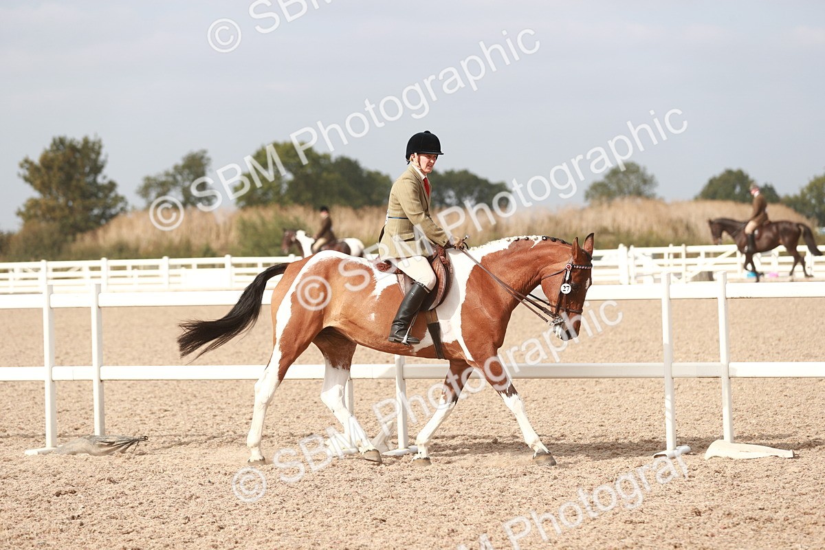 SBM_17475 - Class 215 Ridden Hack/ Riding Horse