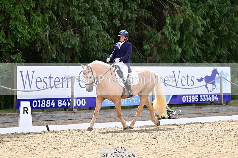 260802A-111501-05756 - Novice Silver break - break