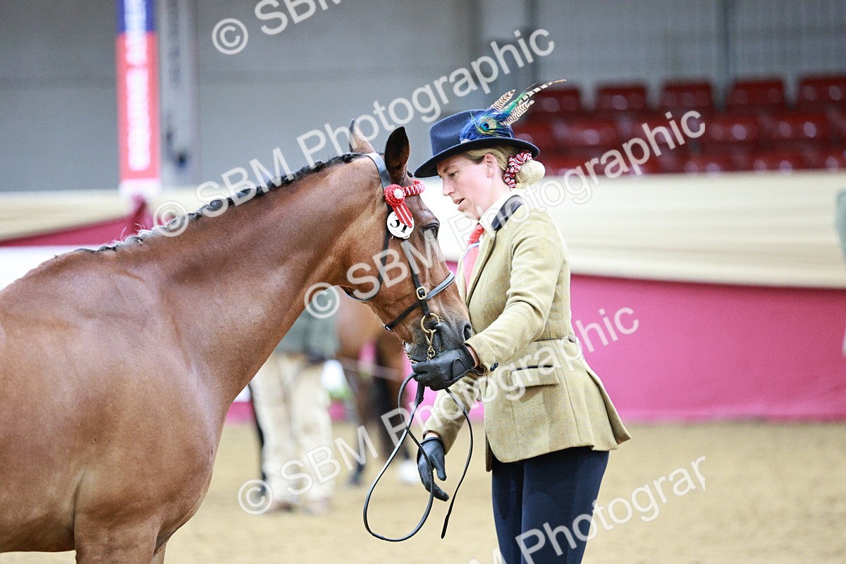 SBM_00239 - Class 1A - Area IH Diamond