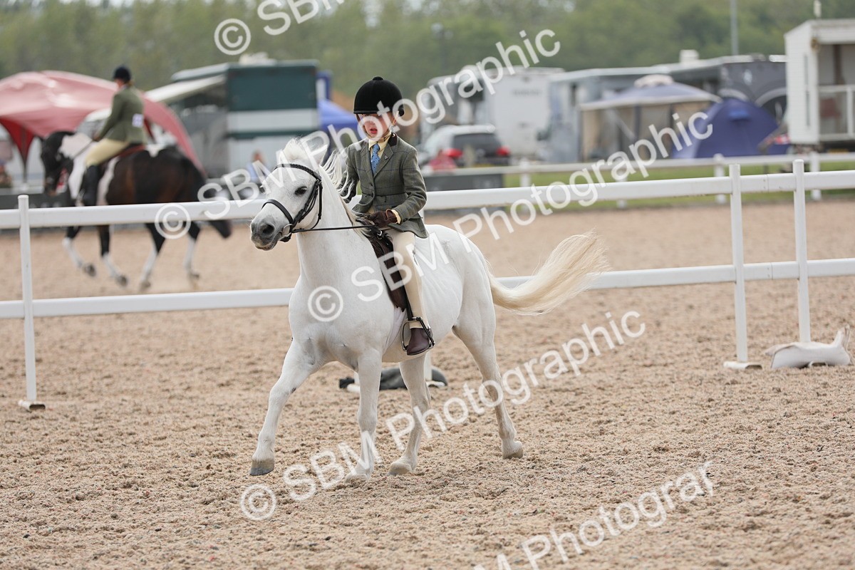 SBM_16930 - Class 314 Family Horse/Pony