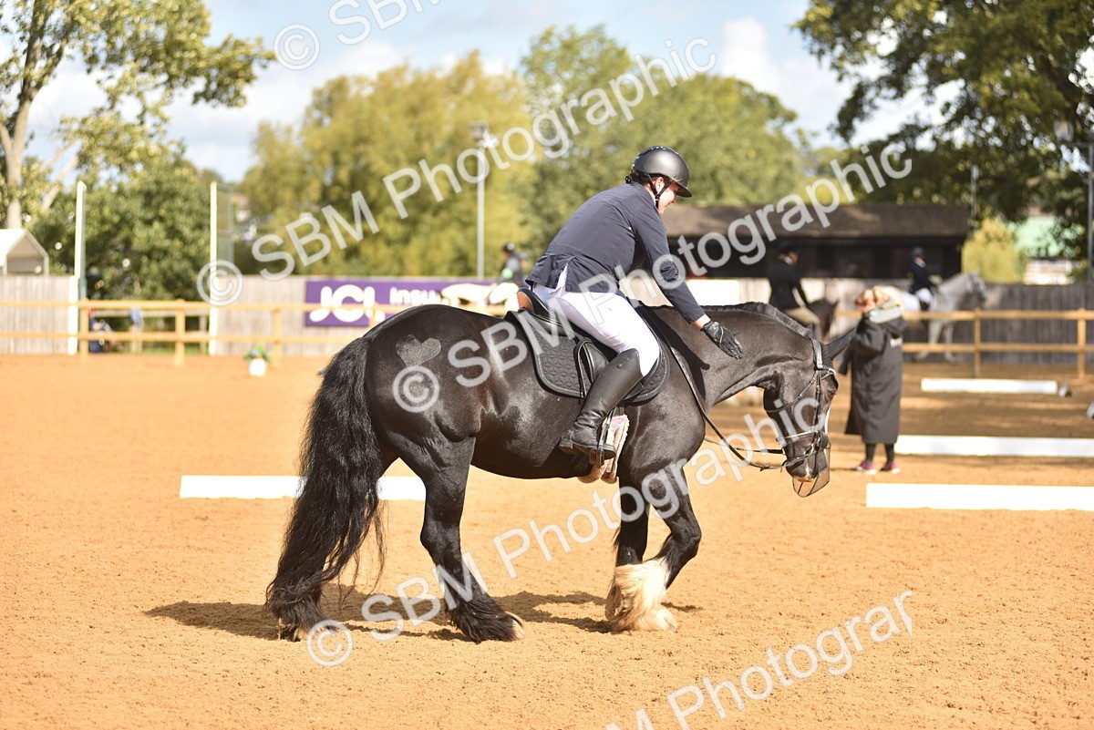 SBM_03283 - D4 - Small Tour Championship Intro 4