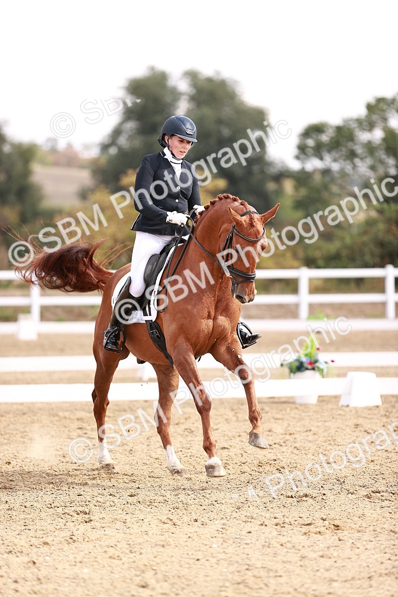 SBM_017683 - Class 11 - Advanced Medium 6