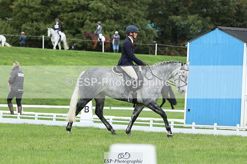 251023A-113122-03346 - D-314-Alice.Tollworthy