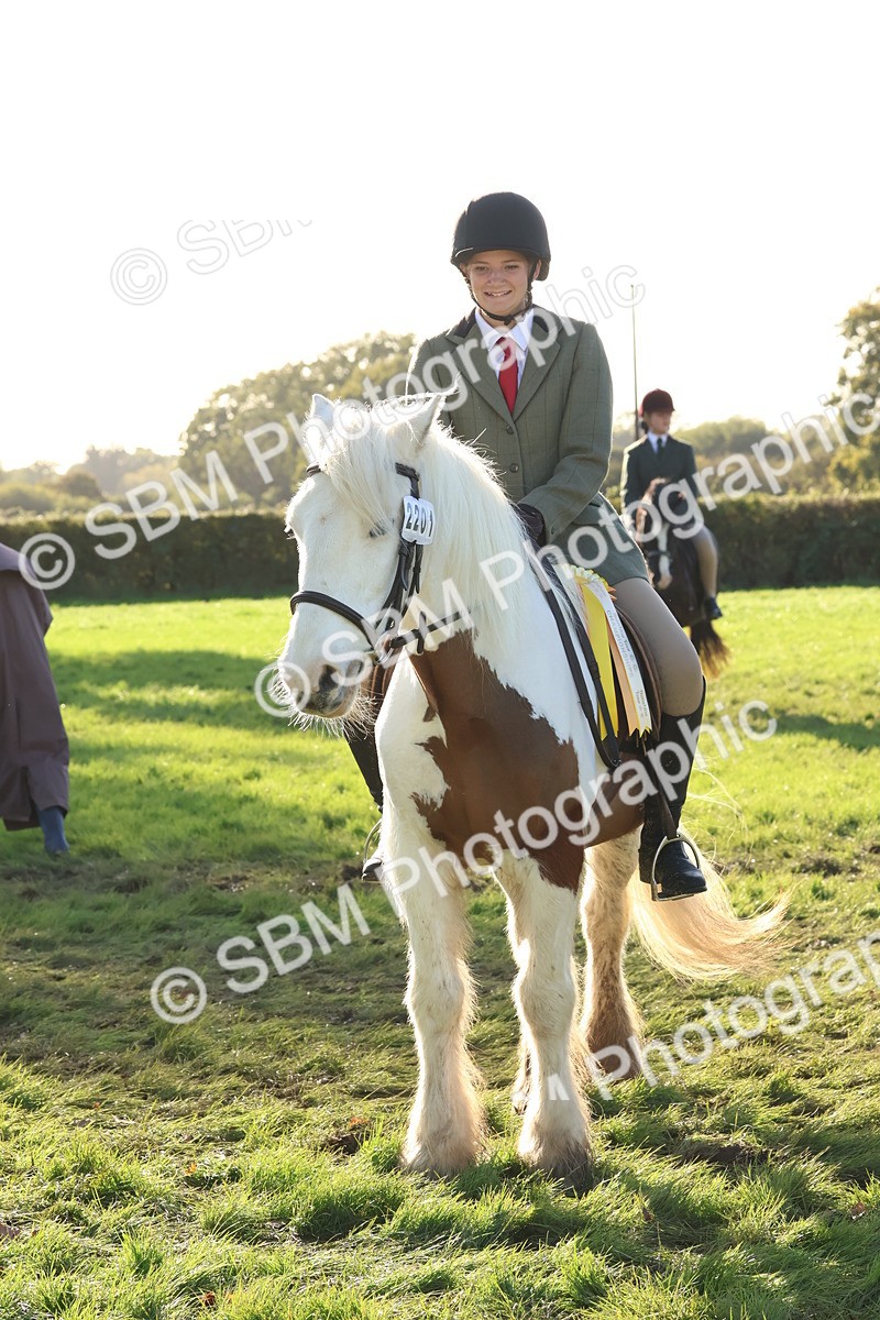 SBM_52679 - S13 - Pony Club Pony