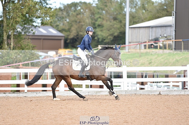 231015A-133204-08340 - Cls 25 95cm Amateur Q 2nd R