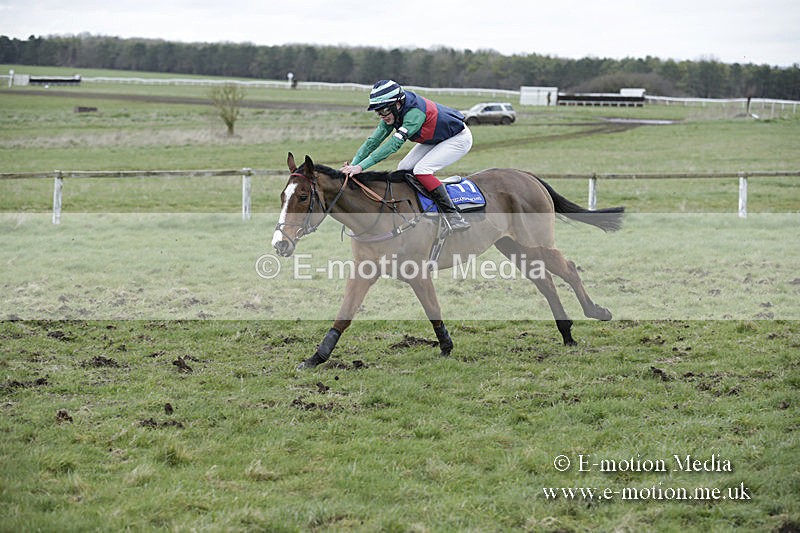 PtP 150320 0936 - New Forest Point-to-Point Larkhill 15/03/20
