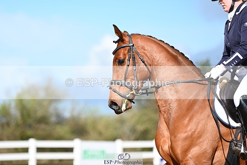 240323A-111543-02573 - DR Novice 24