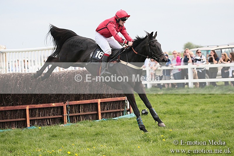 PtP 210418 221 - South & West Wilts Point-to-Point Larkhill 21/04/18
