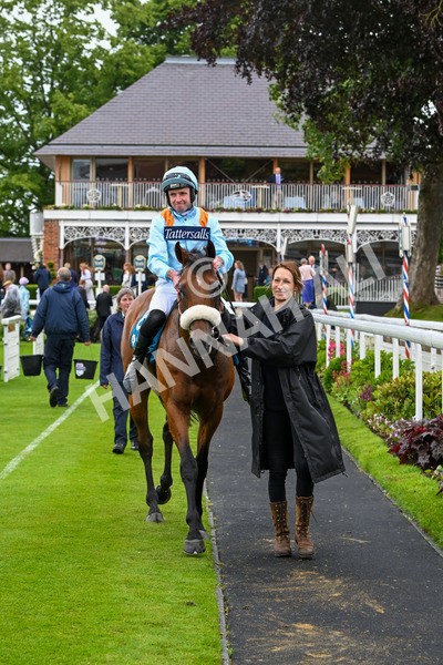 150624-Race 5-The Strikin Viking-7752 - Race 5 4.10pm Reg Griffin Appreciation ebfstallions.com Maiden Stakes