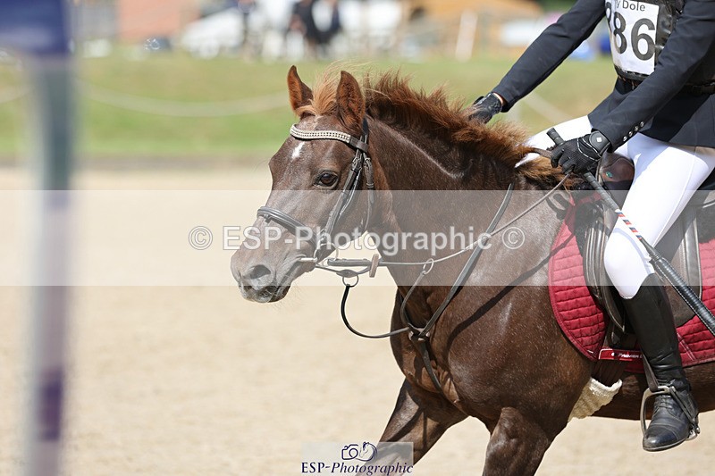 240823X-105938-15721 - 60cm R1 10.00 to 11.30