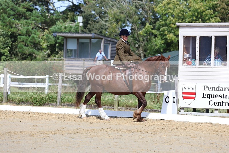 3E7A3569 - Class 7:  Preliminary Music