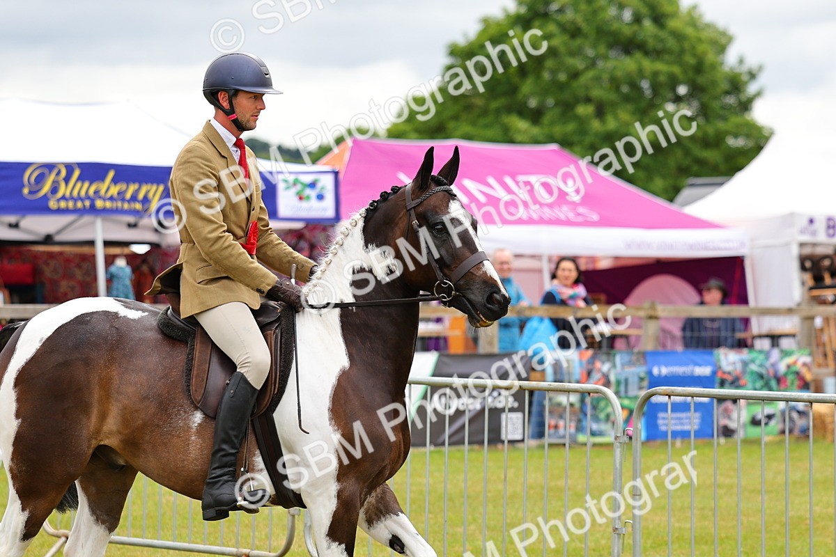 SBM_02592 - Class 9-11 Side Saddle including LIHS Rising Star Ladies Show Horse