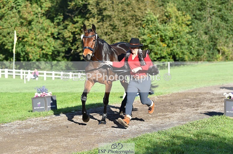 231022-104316-22691 - 496-HIGHDALE.AUTUMN.SUNRISE-Vicky.Stacey-TrotUp+SJ