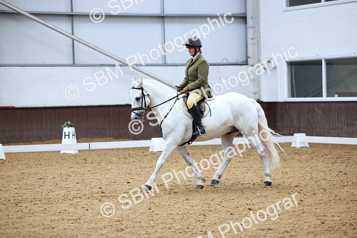 SBM_005462 - Elementary 2