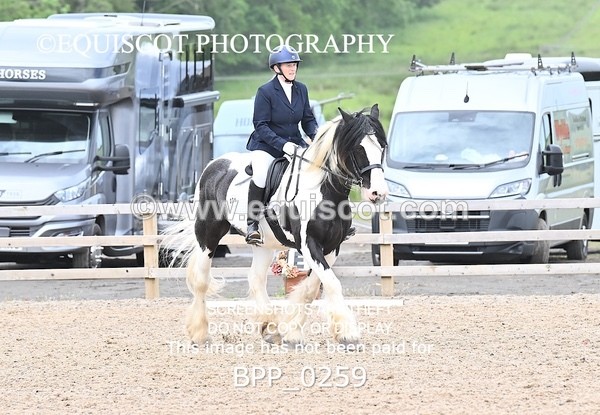 BPP_0259 - 31 E WYLLIE