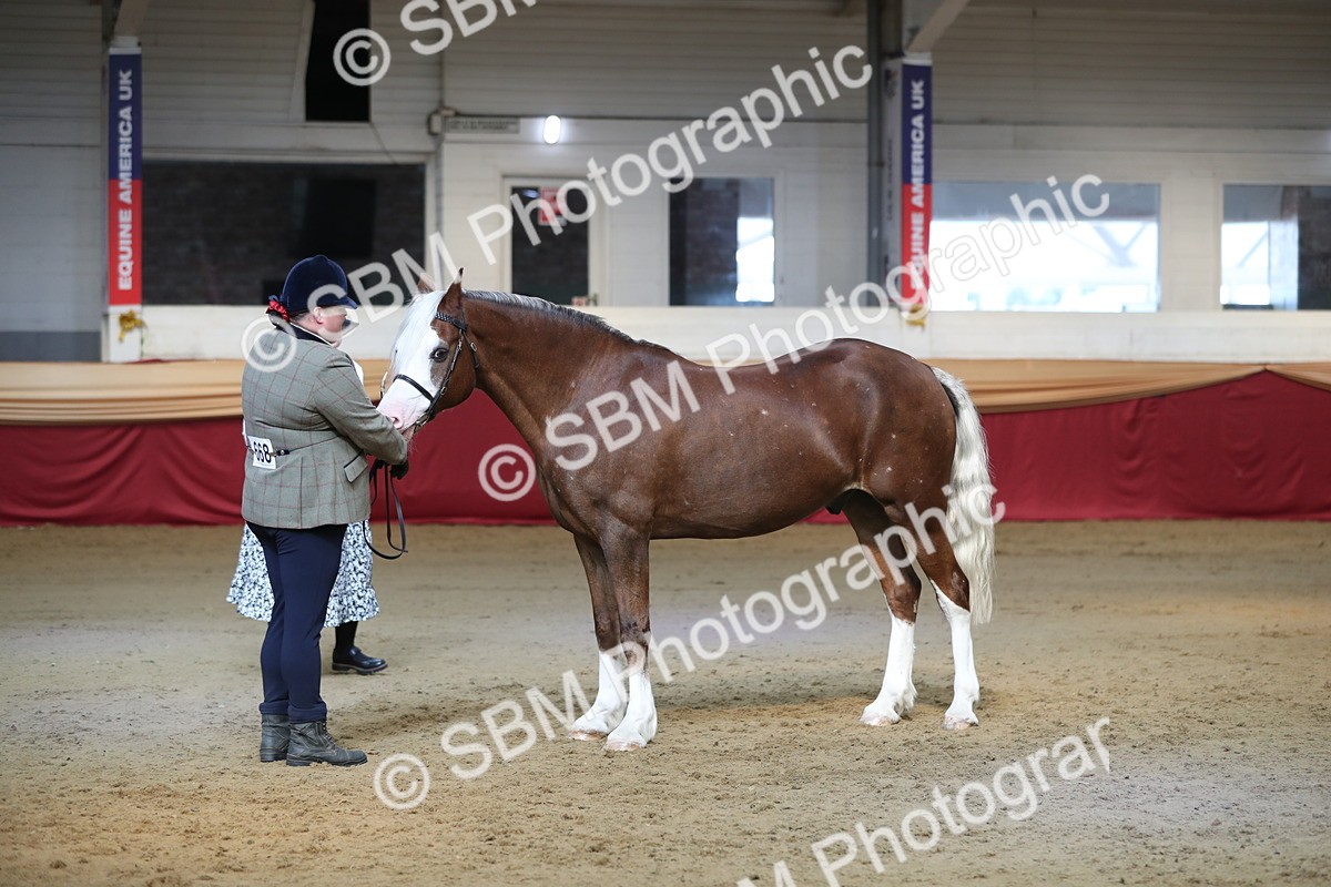 SBM_01351 - Class 3a Area IH Pre Vet