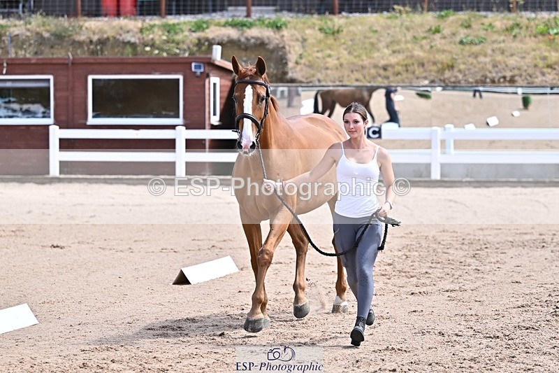 250716-124815-00171 - Trot Up 12.30 to 1.30