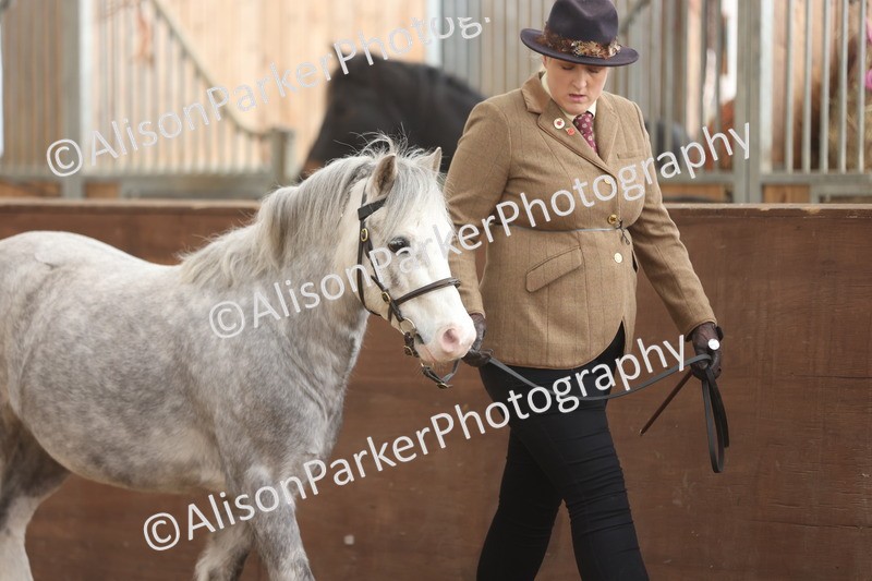 20251109-0585 - Class 22 - Geldings 4 Years and over