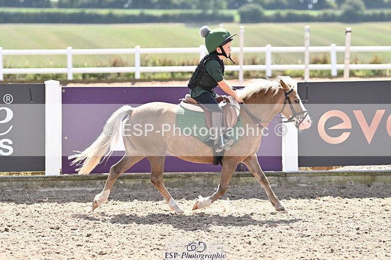 250821B-142825-00771 - Group D - Thomasina