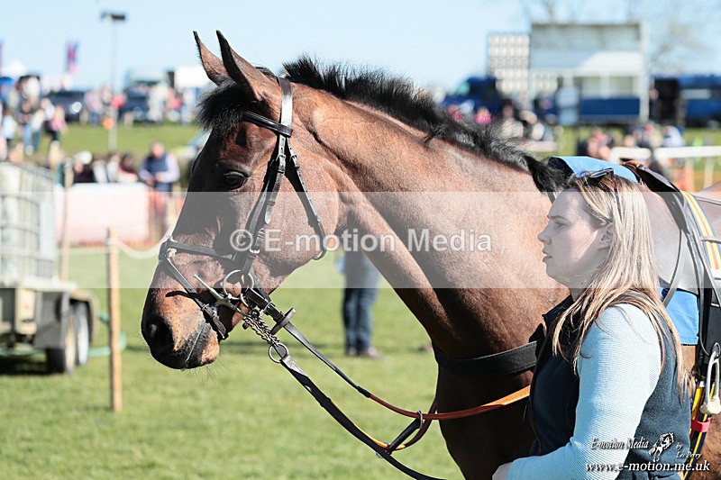 PtP 210326 215 - VWH Cirencester Races 21/03/26