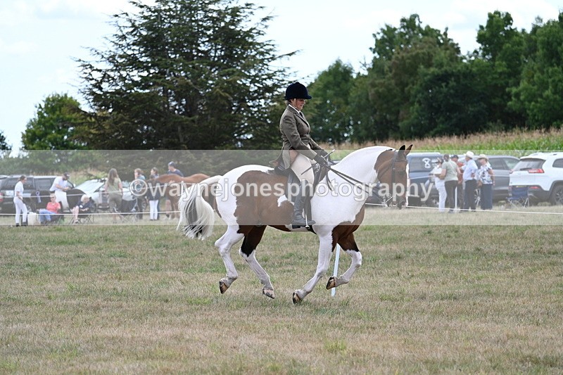 WJ7_5215 - Class 12 Ridden Cob