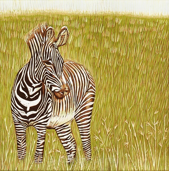 Grevy's Zebra, Masai Mara, Kenya - Reduction Linocuts