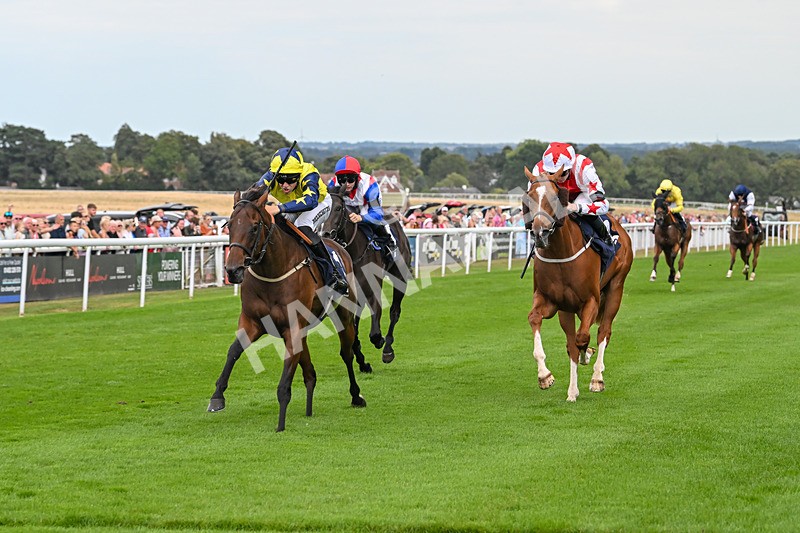 140825-Race 2-Lady Britain-0639 - Race 2