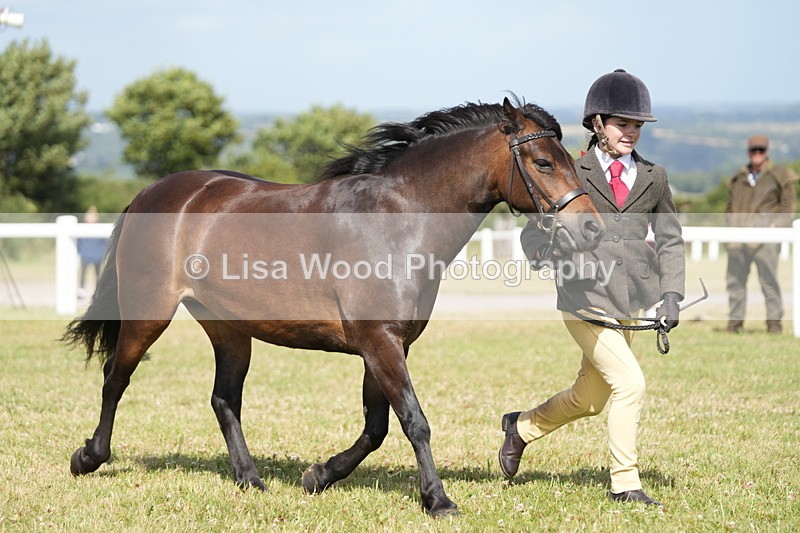 DSC07652 - Class 62: Child Handler