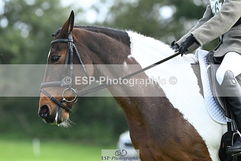 231020-101206-07284 - 467-WELLSHEAD.SQUIGGLE-Emily.Illing-DR