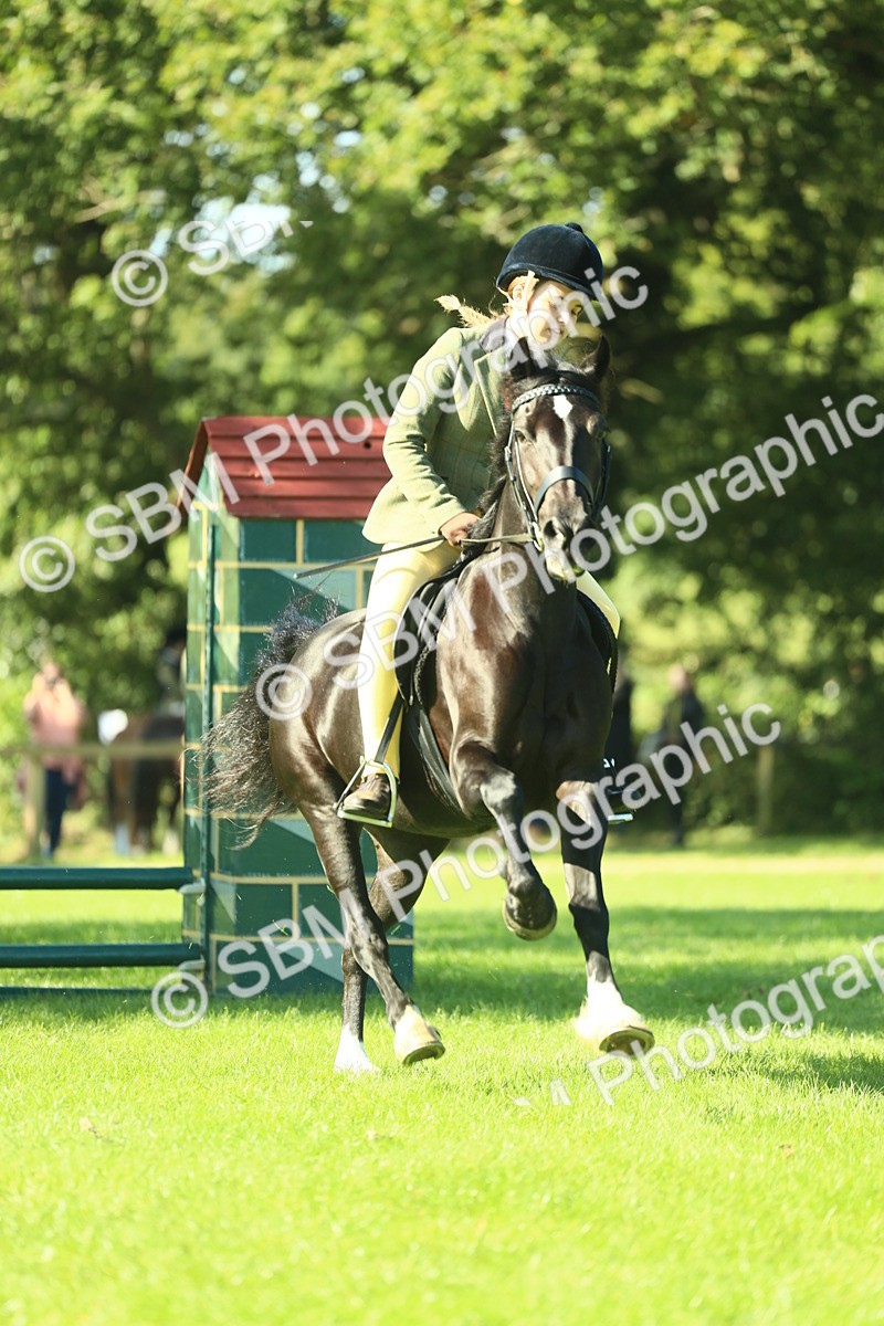 SBM_37406 - S29 - Novice & Newcomers Working Hunter Pony