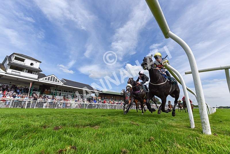 130524-Race 4-Keldeo-5362 - Race 4