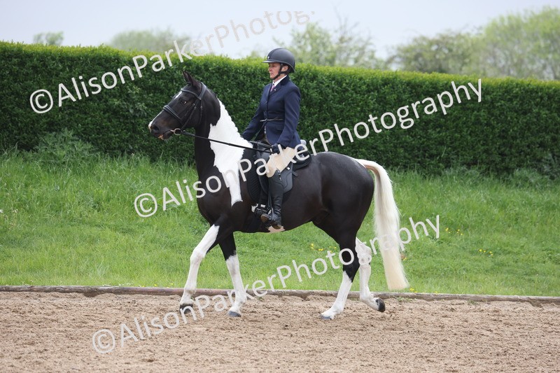 20260504-1029 - Class 14 - Cob and Hunter