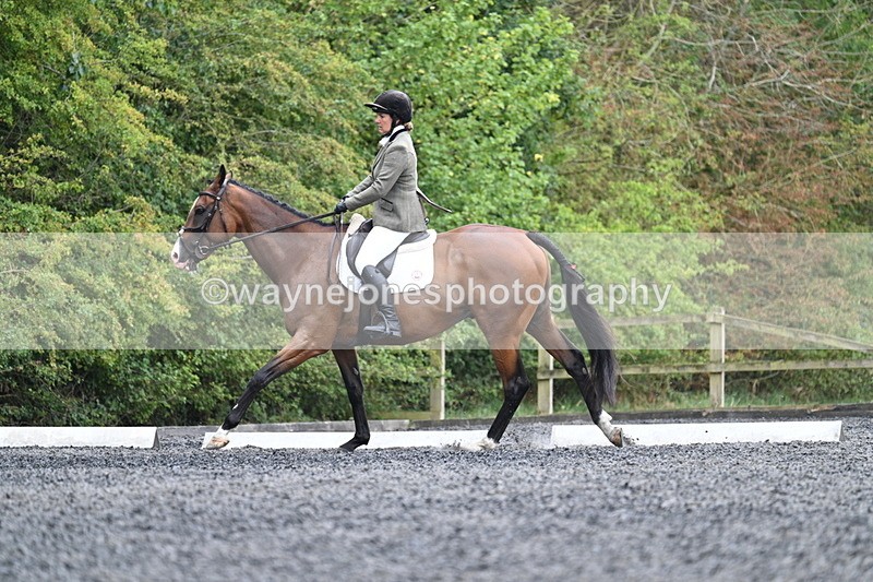 WJ7_6433 - Time 11:38 to 12:03