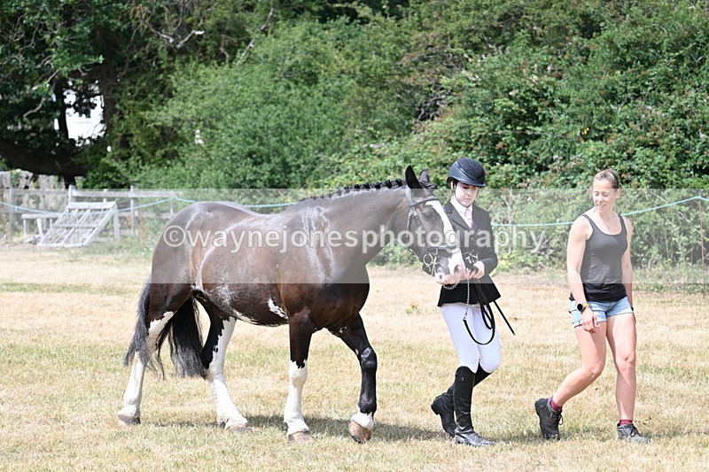WJ7_1926 - Class 4a Prettiest Mare 14.2hh and over hand
