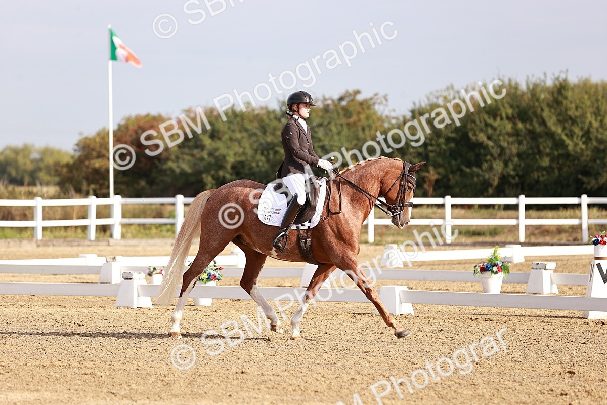 SBM_016854 - Class 10 - Medium 6