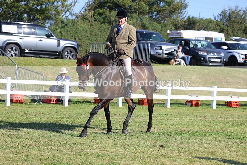 3E7A5432 - Class 2: Rising Star Large Hack/Riding Horse